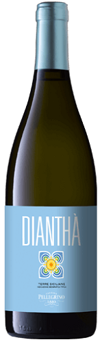 Diantha-Sicilia-Pellegrino